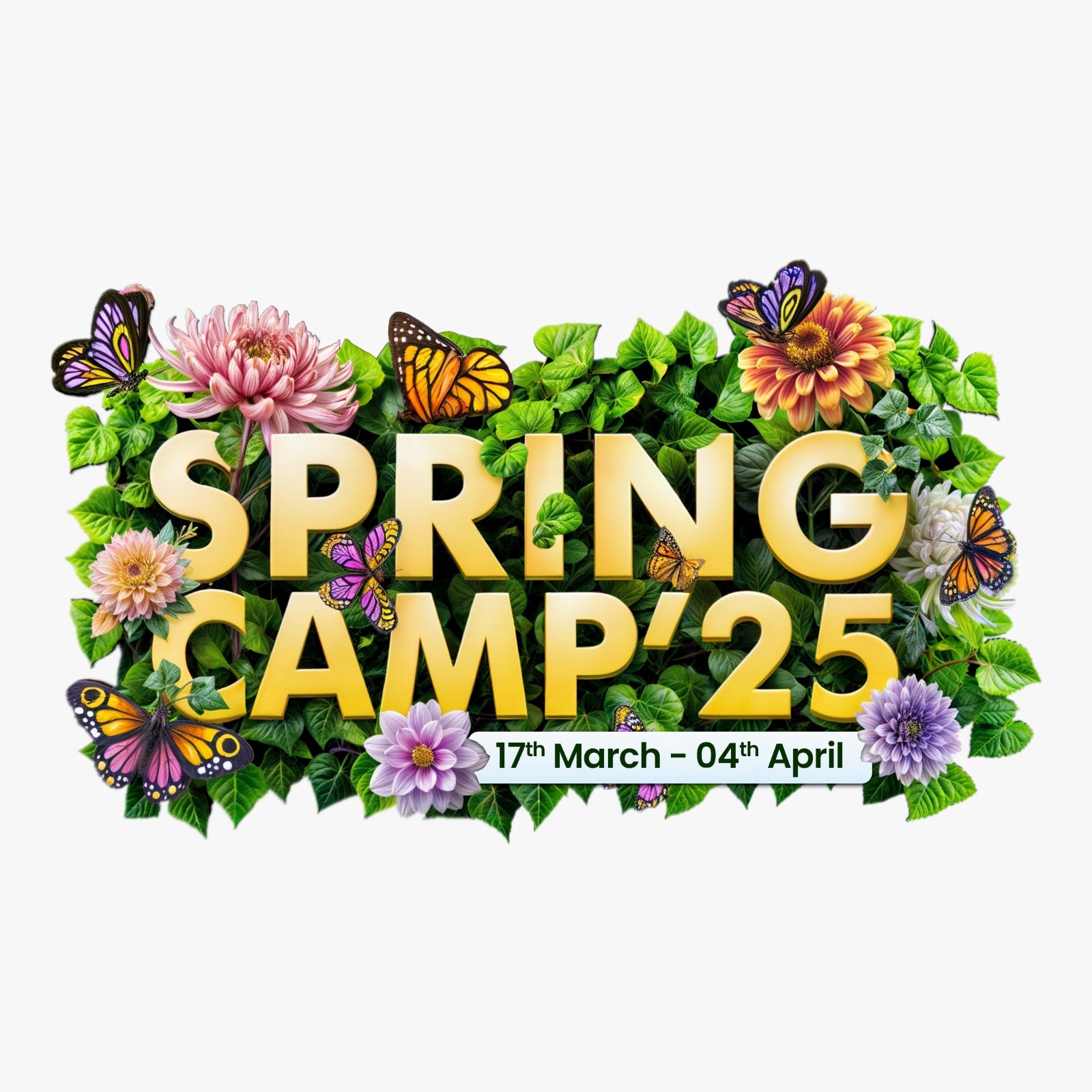 SPRING CAMP'25 - 15 DAYS (3 Items)